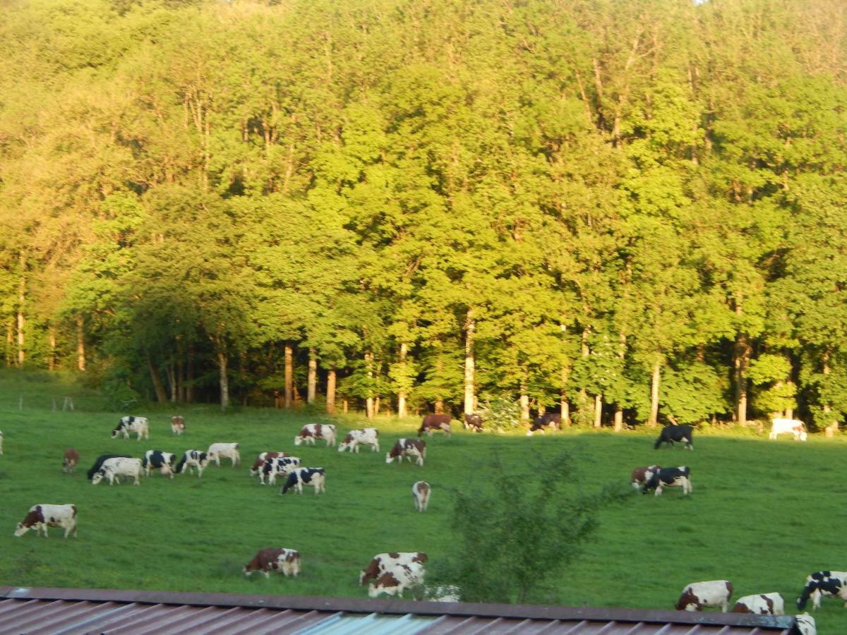 Culmont A La Source Du Saolon Bed & Breakfast エクステリア 写真